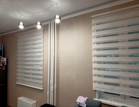 Портфолио шторы День-Ночь Мини